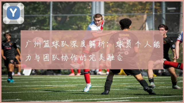 广州篮球队深度解析：球员个人能力与团队协作的完美融合