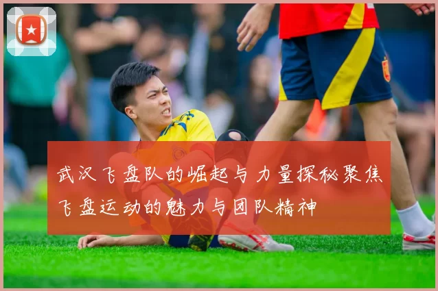 武汉飞盘队的崛起与力量探秘聚焦飞盘运动的魅力与团队精神