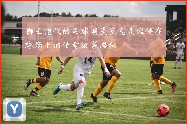 狮王指代的足球明星究竟是谁他在球场上的传奇故事揭秘