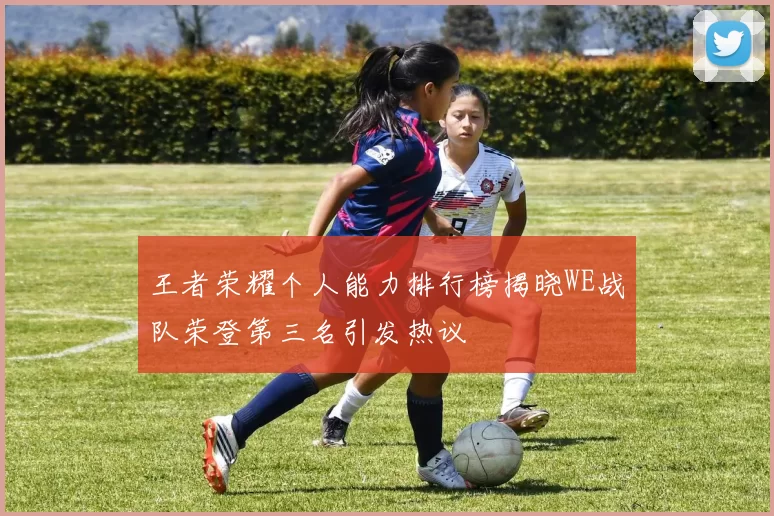 王者荣耀个人能力排行榜揭晓WE战队荣登第三名引发热议