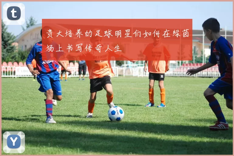 贵大培养的足球明星们如何在绿茵场上书写传奇人生