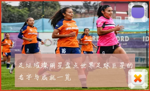 足坛璀璨明星盘点世界足球巨星的名字与成就一览