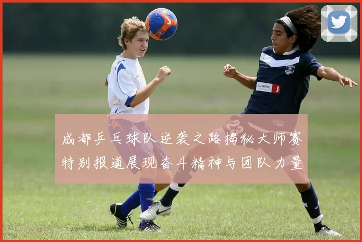 成都乒乓球队逆袭之路揭秘大师赛特别报道展现奋斗精神与团队力量