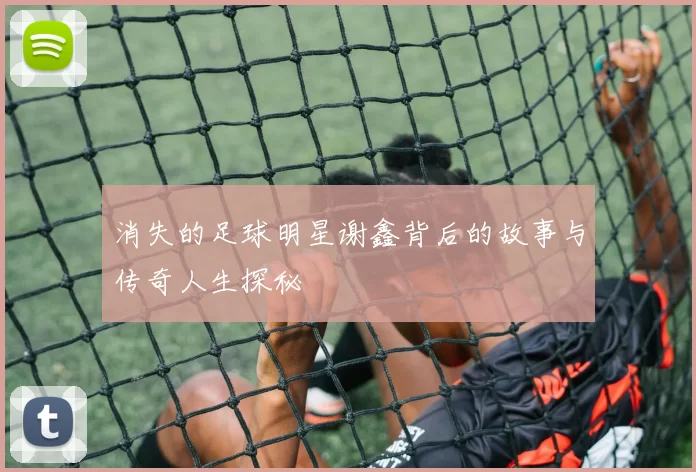 消失的足球明星谢鑫背后的故事与传奇人生探秘