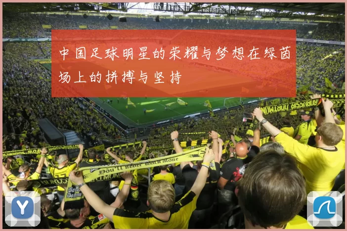 中国足球明星的荣耀与梦想在绿茵场上的拼搏与坚持