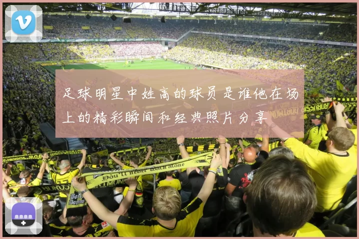 足球明星中姓高的球员是谁他在场上的精彩瞬间和经典照片分享