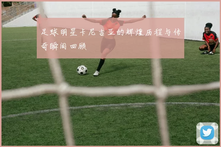 足球明星卡尼吉亚的辉煌历程与传奇瞬间回顾