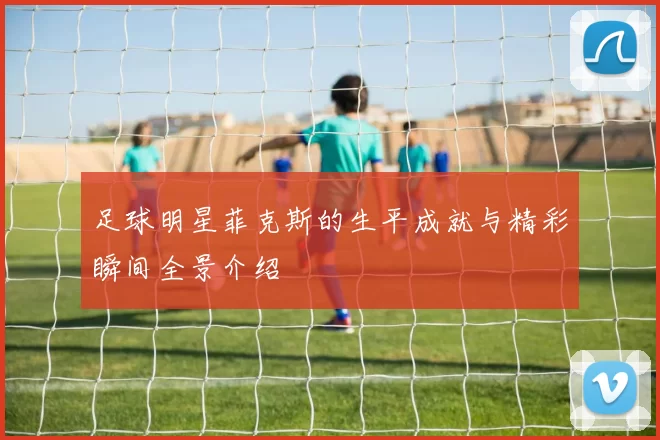 足球明星菲克斯的生平成就与精彩瞬间全景介绍