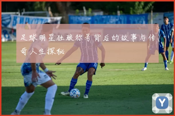 足球明星独狼称号背后的故事与传奇人生探秘