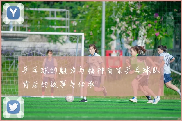 乒乓球的魅力与精神南京乒乓球队背后的故事与传承