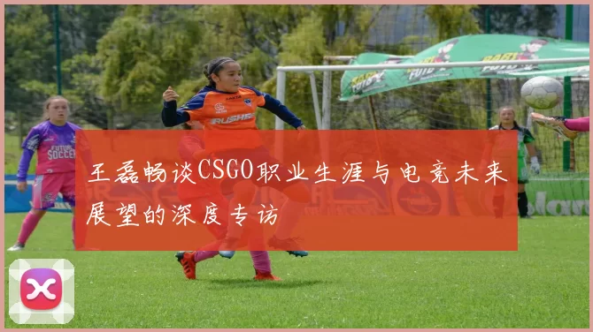 王磊畅谈CSGO职业生涯与电竞未来展望的深度专访