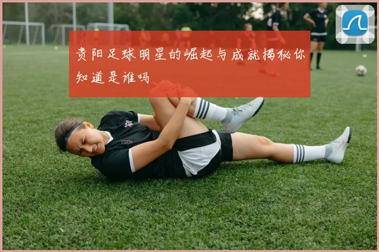 贵阳足球明星的崛起与成就揭秘你知道是谁吗