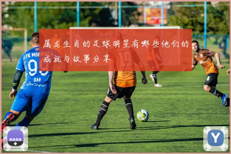 属龙生肖的足球明星有哪些他们的成就与故事分享