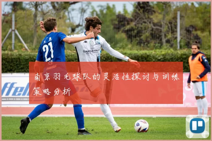 南京羽毛球队的灵活性探讨与训练策略分析